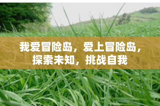 我爱冒险岛，爱上冒险岛，探索未知，挑战自我