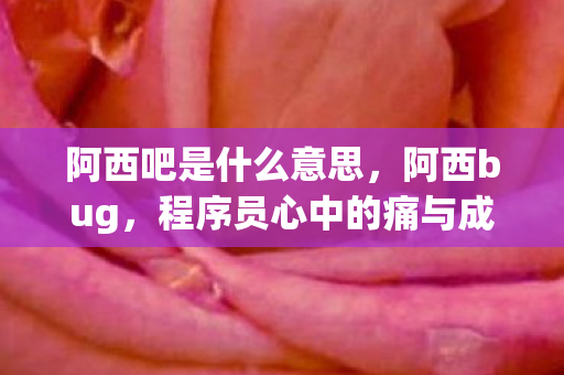 阿西吧是什么意思，阿西bug，程序员心中的痛与成长