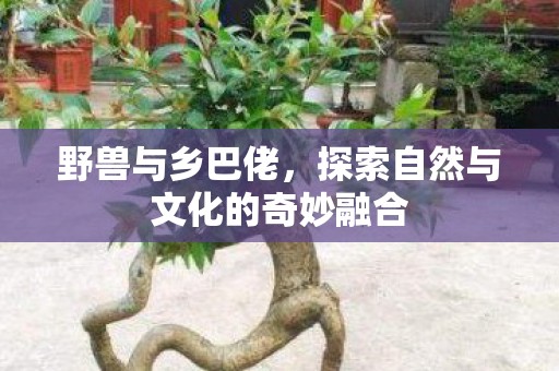 野兽与乡巴佬，探索自然与文化的奇妙融合