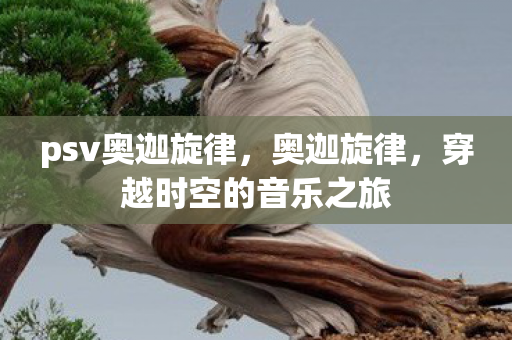 穿越时空的音乐之旅图片