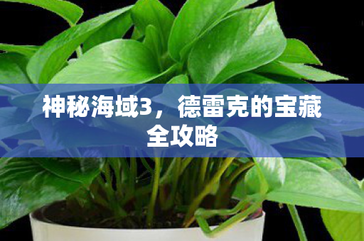 神秘海域3，德雷克的宝藏全攻略