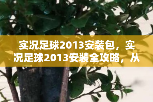 实况足球2013安装全攻略图片