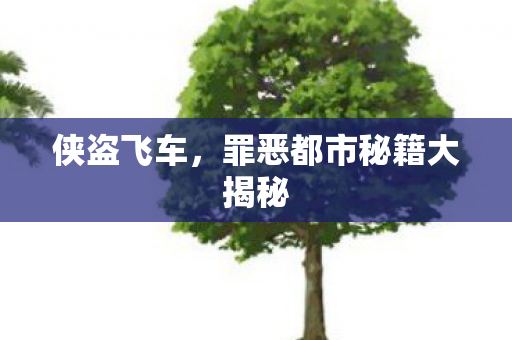 侠盗飞车，罪恶都市秘籍大揭秘