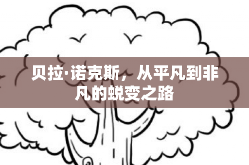 贝拉·诺克斯，从平凡到非凡的蜕变之路