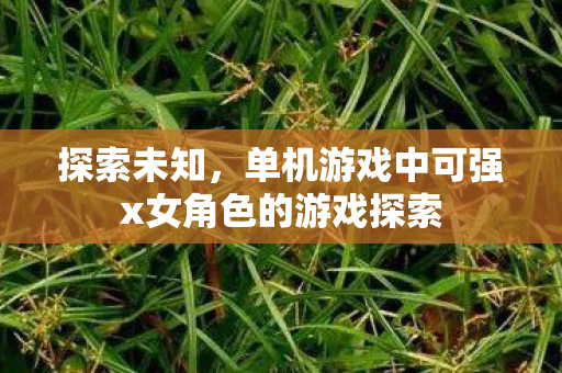 单机游戏中可强x女角色的游戏探索图片