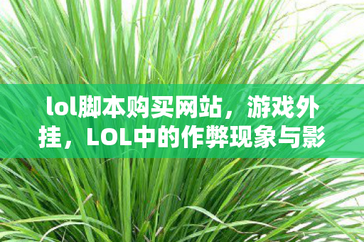 lol脚本购买网站，游戏外挂，LOL中的作弊现象与影响