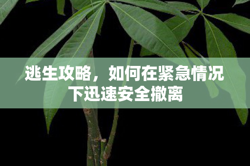 逃生攻略，如何在紧急情况下迅速安全撤离