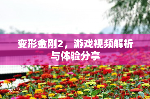游戏视频解析与体验分享图片