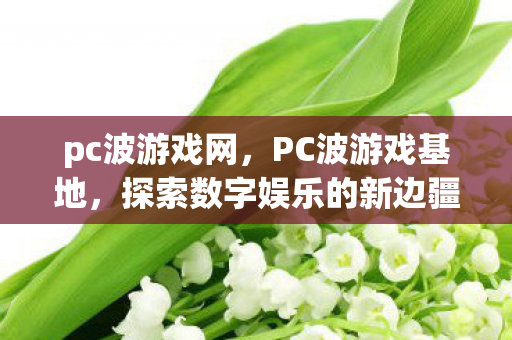 pc波游戏网，PC波游戏基地，探索数字娱乐的新边疆