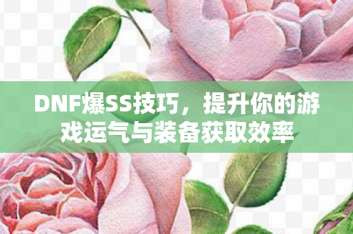 DNF爆SS技巧，提升你的游戏运气与装备获取效率