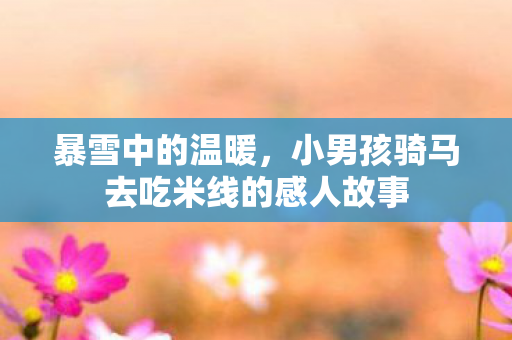 暴雪中的温暖，小男孩骑马去吃米线的感人故事