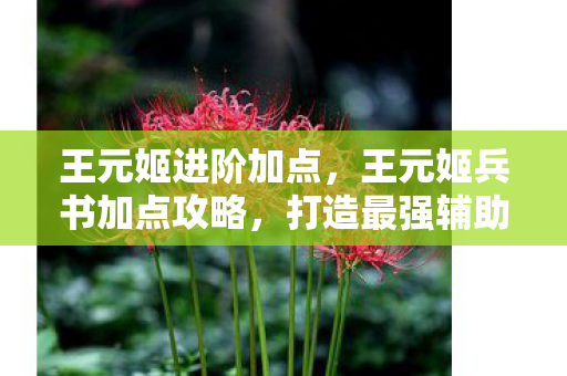 王元姬兵书加点攻略图片