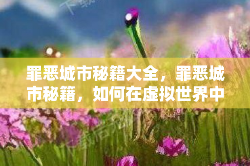 罪恶城市秘籍大全，罪恶城市秘籍，如何在虚拟世界中生存与成功