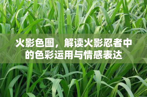 火影色图，解读火影忍者中的色彩运用与情感表达