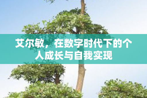 艾尔敏，在数字时代下的个人成长与自我实现