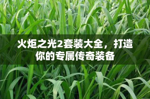 火炬之光2套装大全，打造你的专属传奇装备