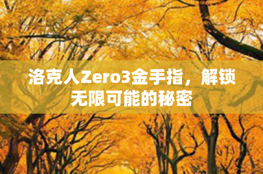 洛克人Zero3金手指，解锁无限可能的秘密
