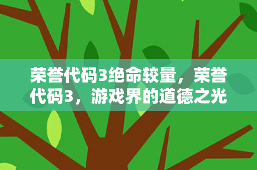 荣誉代码3绝命较量，荣誉代码3，游戏界的道德之光