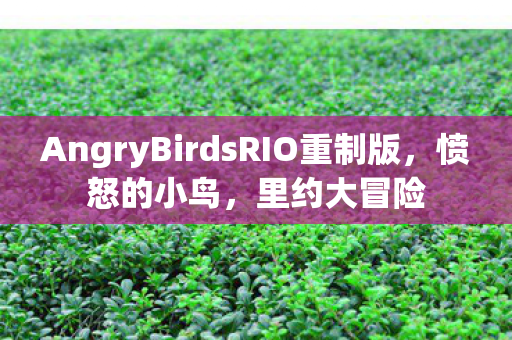 AngryBirdsRIO重制版，愤怒的小鸟，里约大冒险