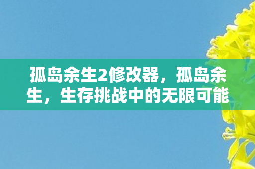 孤岛余生2修改器，孤岛余生，生存挑战中的无限可能