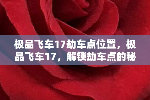 极品飞车17劫车点位置，极品飞车17，解锁劫车点的秘密