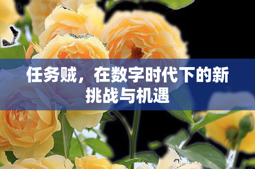 任务贼，在数字时代下的新挑战与机遇