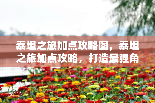 泰坦之旅加点攻略图，泰坦之旅加点攻略，打造最强角色，征服未知世界