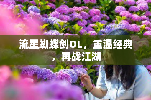 流星蝴蝶剑OL，重温经典，再战江湖