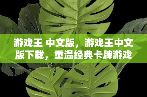 游戏王 中文版，游戏王中文版下载，重温经典卡牌游戏的便捷途径