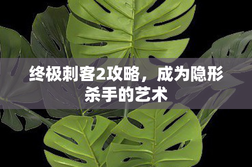 终极刺客2攻略，成为隐形杀手的艺术