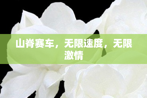 山脊赛车,无限速度,无限激情 山脊赛车,无限速度,无限激情