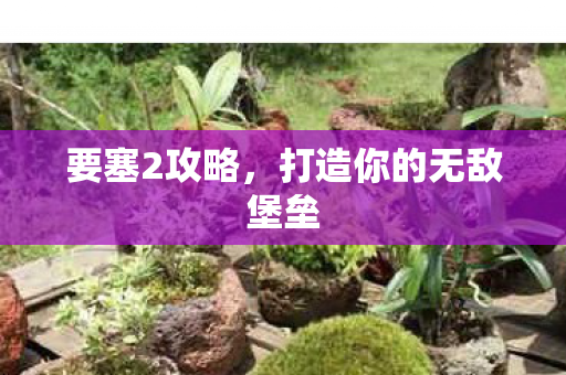 要塞2攻略，打造你的无敌堡垒