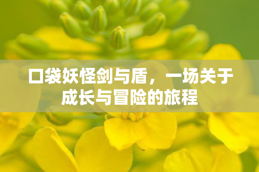 口袋妖怪剑与盾，一场关于成长与冒险的旅程