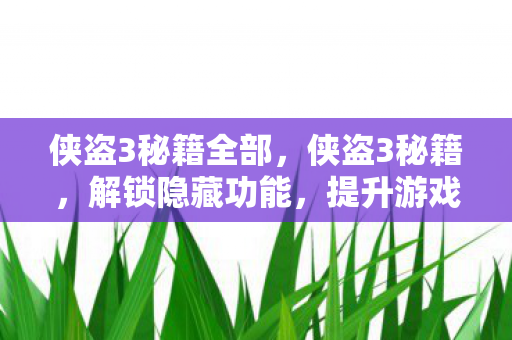 侠盗3秘籍全部，侠盗3秘籍，解锁隐藏功能，提升游戏体验