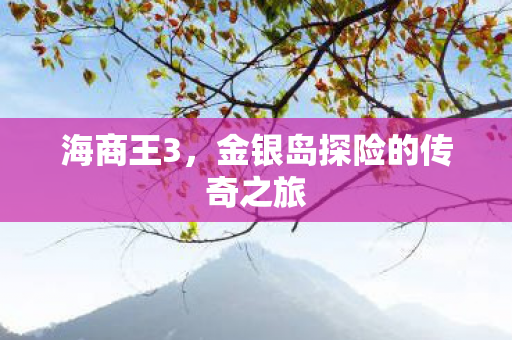 海商王3,金银岛探险的传奇之旅 海商王3,金银岛探险的传奇之旅