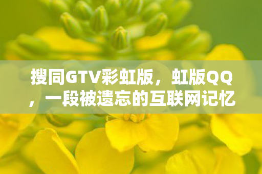 搜同GTV彩虹版,虹版QQ,一段被遗忘的互联网记忆 搜同GTV彩虹版,虹版QQ,一段被遗忘的互联网记忆