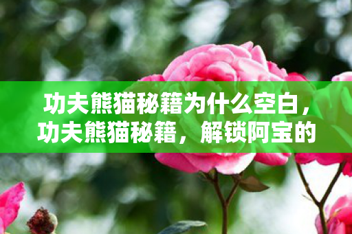 功夫熊猫秘籍为什么空白,功夫熊猫秘籍,解锁阿宝的秘密修炼之道 功夫熊猫秘籍为什么空白,功夫熊猫秘籍,解锁阿宝的秘密修炼之道