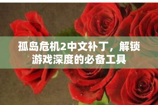 孤岛危机2中文补丁,解锁游戏深度的必备工具 孤岛危机2中文补丁,解锁游戏深度的必备工具