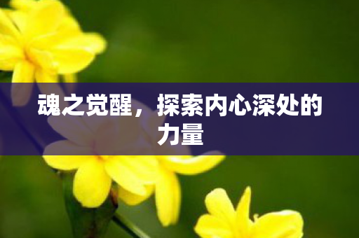 魂之觉醒,探索内心深处的力量 魂之觉醒,探索内心深处的力量