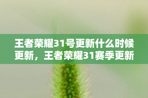 王者荣耀31号更新什么时候更新，王者荣耀31赛季更新是什么时候？
