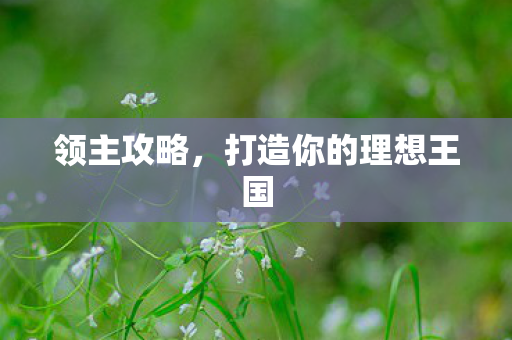 领主攻略,打造你的理想王国 领主攻略,打造你的理想王国