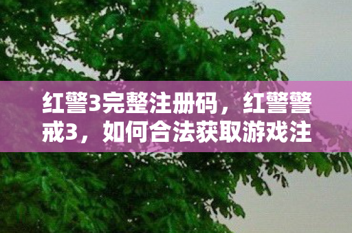 如何合法获取游戏注册码图片