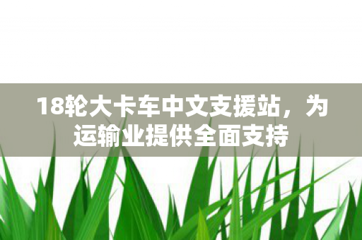 18轮大卡车中文支援站，为运输业提供全面支持