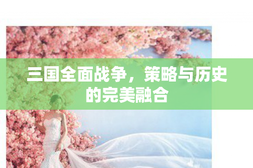 三国全面战争，策略与历史的完美融合