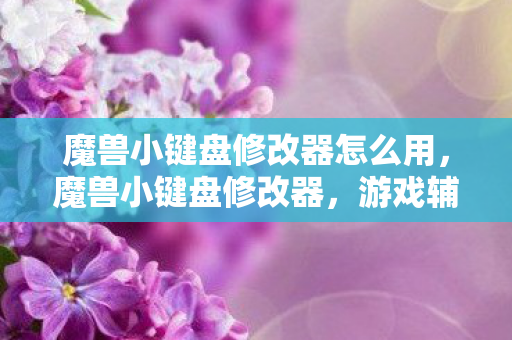 魔兽小键盘修改器怎么用,魔兽小键盘修改器,游戏辅助工具还是作弊工具? 魔兽小键盘修改器怎么用,魔兽小键盘修改器,游戏辅助工具还是作弊工具?
