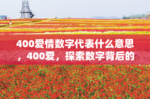 400爱情数字代表什么意思，400爱，探索数字背后的情感密码