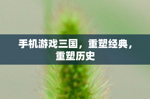 手机游戏三国,重塑经典,重塑历史 手机游戏三国,重塑经典,重塑历史