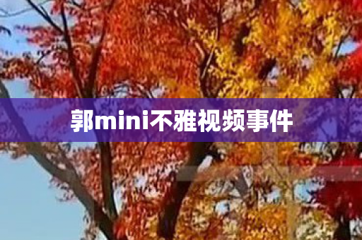 郭mini不雅视频事件