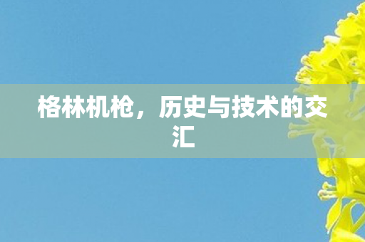 格林机枪，历史与技术的交汇