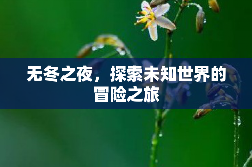 无冬之夜，探索未知世界的冒险之旅